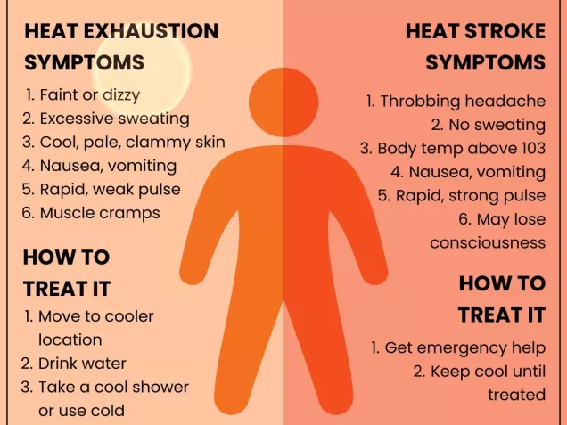 Infographic comparing heat exhaustion and heat stroke symptoms and treatment steps.
